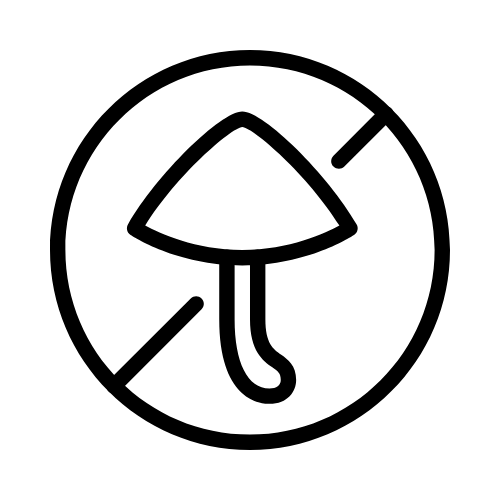 Schimmelsanierung